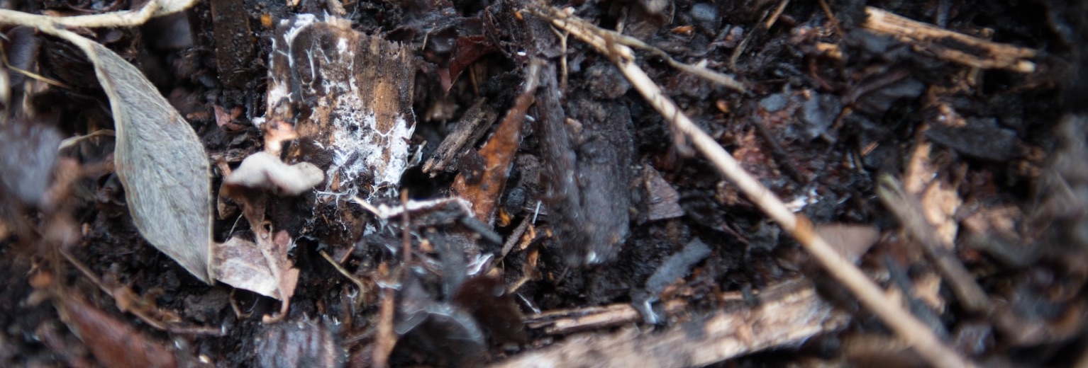 Mulch, Compost and Dirt Hauling - Sanders Hauling